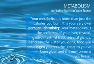 metabolism_1024x768_1_b5747511