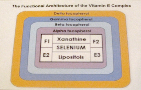 Vitamin E Complex - A Whole Food