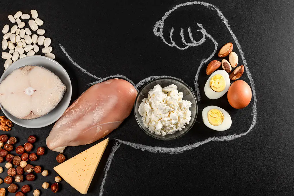 More Protein 