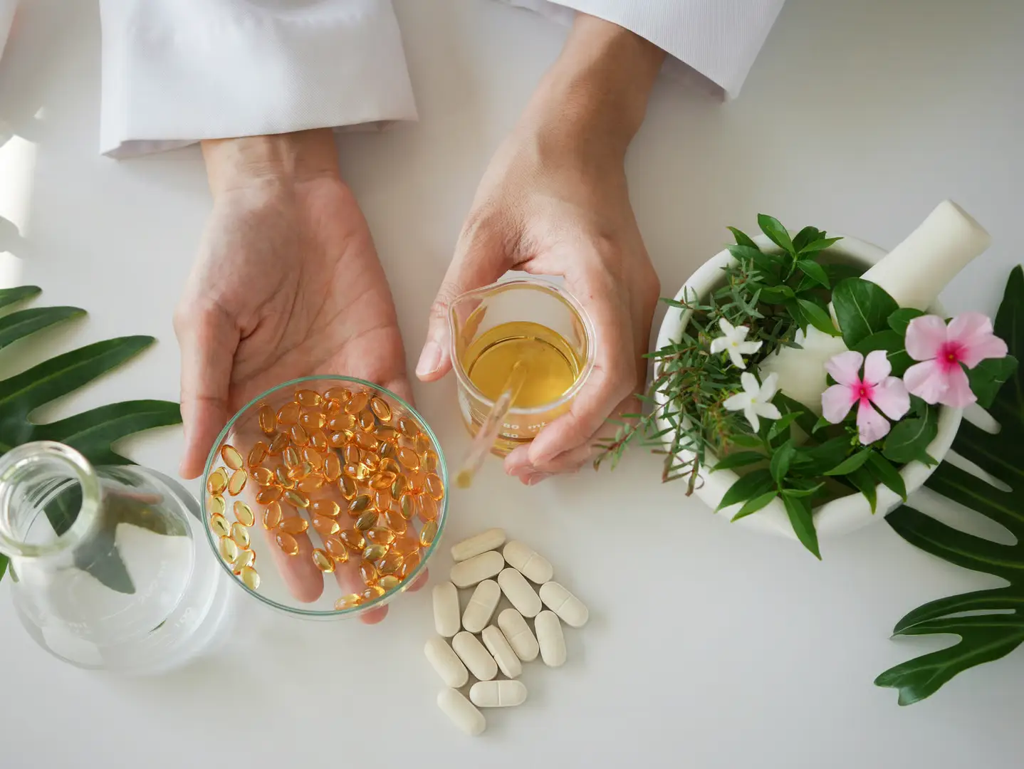 Traditional Chinese Medicine herbs and natural remedies