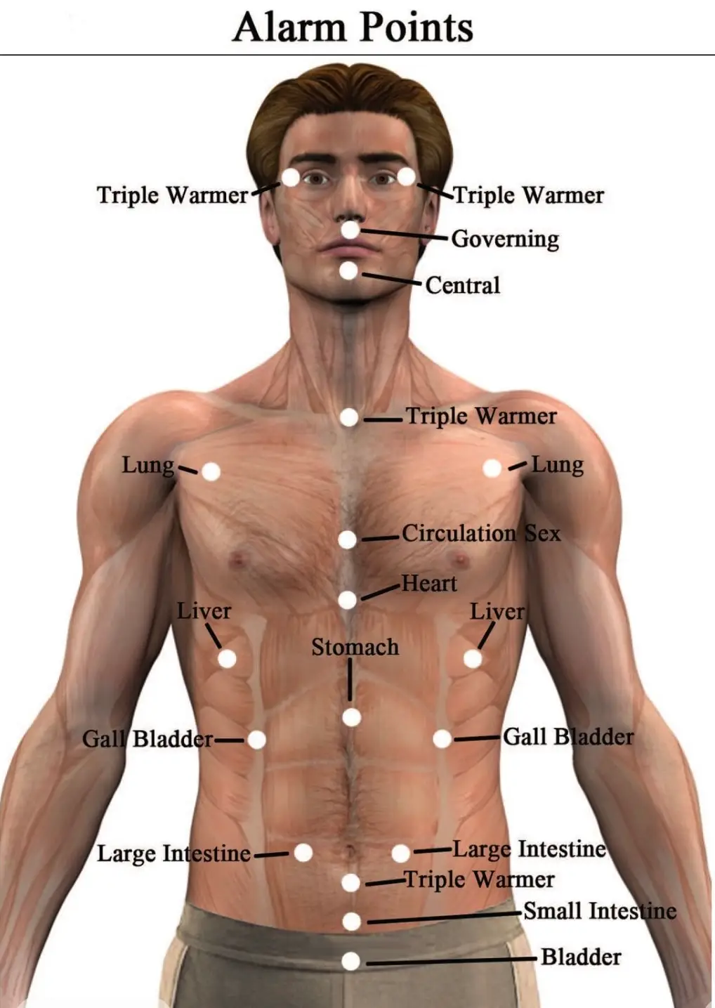 Acupuncture meridian assessment diagram