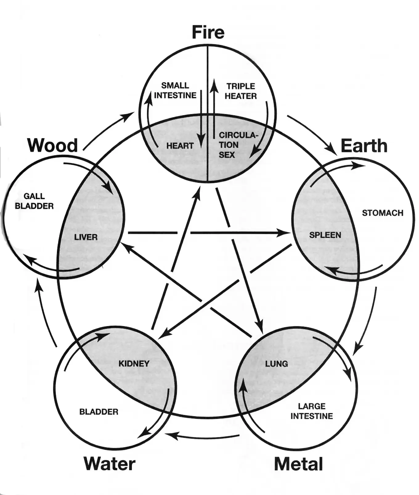 Traditional Chinese Medicine diagnostic diagram showing five element theory