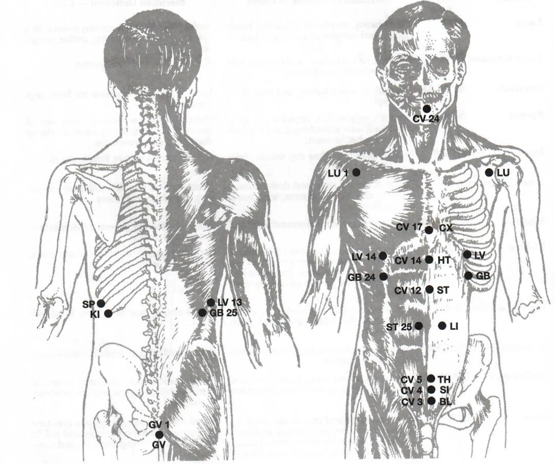 Professional Applied Kinesiology muscle testing
